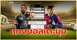 แทงบอลเตะมุม ทดลองแทงได้ที่ UFA356